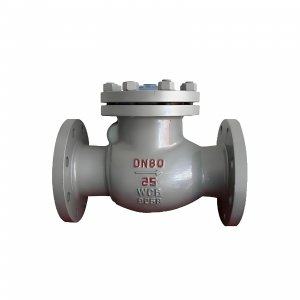 DN50 PN25 介質(zhì)：甲胺，溫度：80℃止回閥